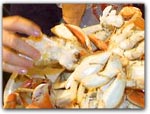 Click for more information on All-you-can-eat CRAB FEED!.