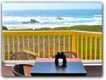 Click for more information on OCEAN VIEW LODGE SPECIALS.