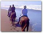 Click for more information on Ride Horses on the Beach.