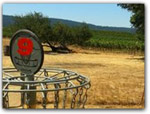 Click for more information on Frisbee Golf Course.