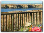 Click for more information on Pelican\'s Pier Vacation Rental.
