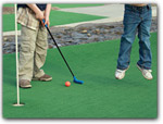 Click for more information on Emerald Dolphin Inn & Mini Golf.