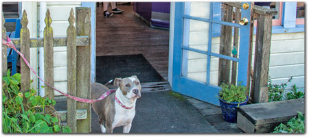 Click for more information on Frankie\'s has a pet friendly deck.