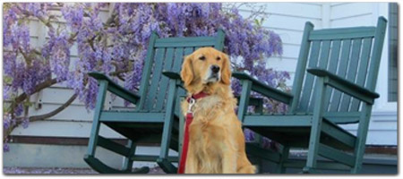 Click for more information on Pet friendly dining at Little River Inn.