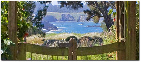 Click for more information on Mendocino Cafe.
