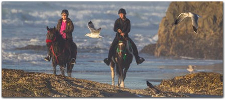 Click for more information on Ricochet Ridge Ranch - Horseback riding on the North Coast.
