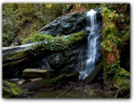 Click for more information on Russian Gulch State Park.